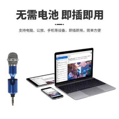 Mini Microphone Speaker